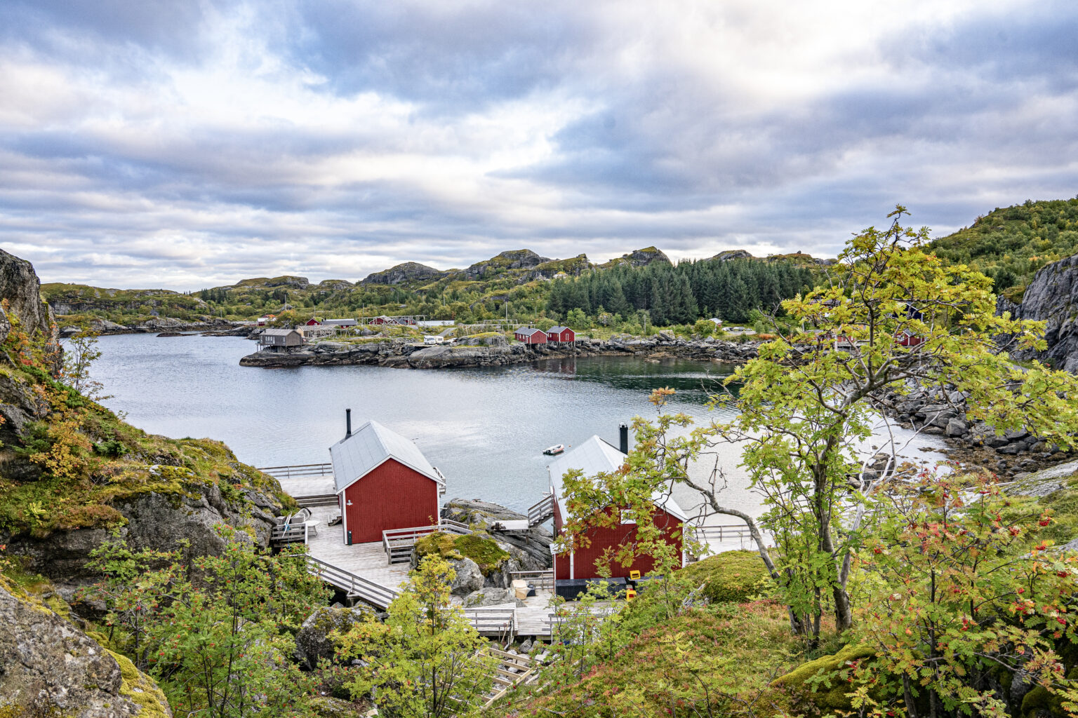 norwegenwebsite1_47