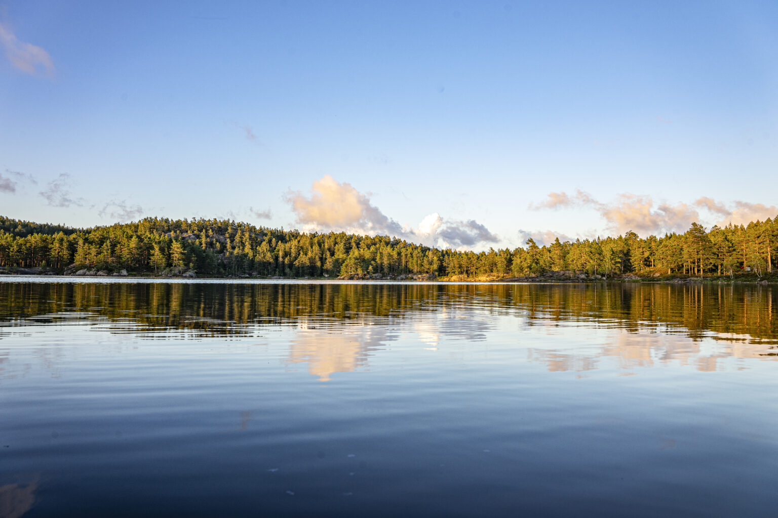 norwegenwebsite1_5