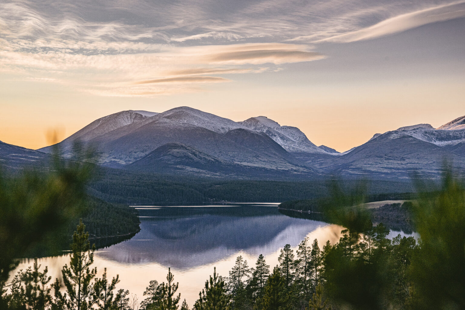 norwegenwebsite1_106