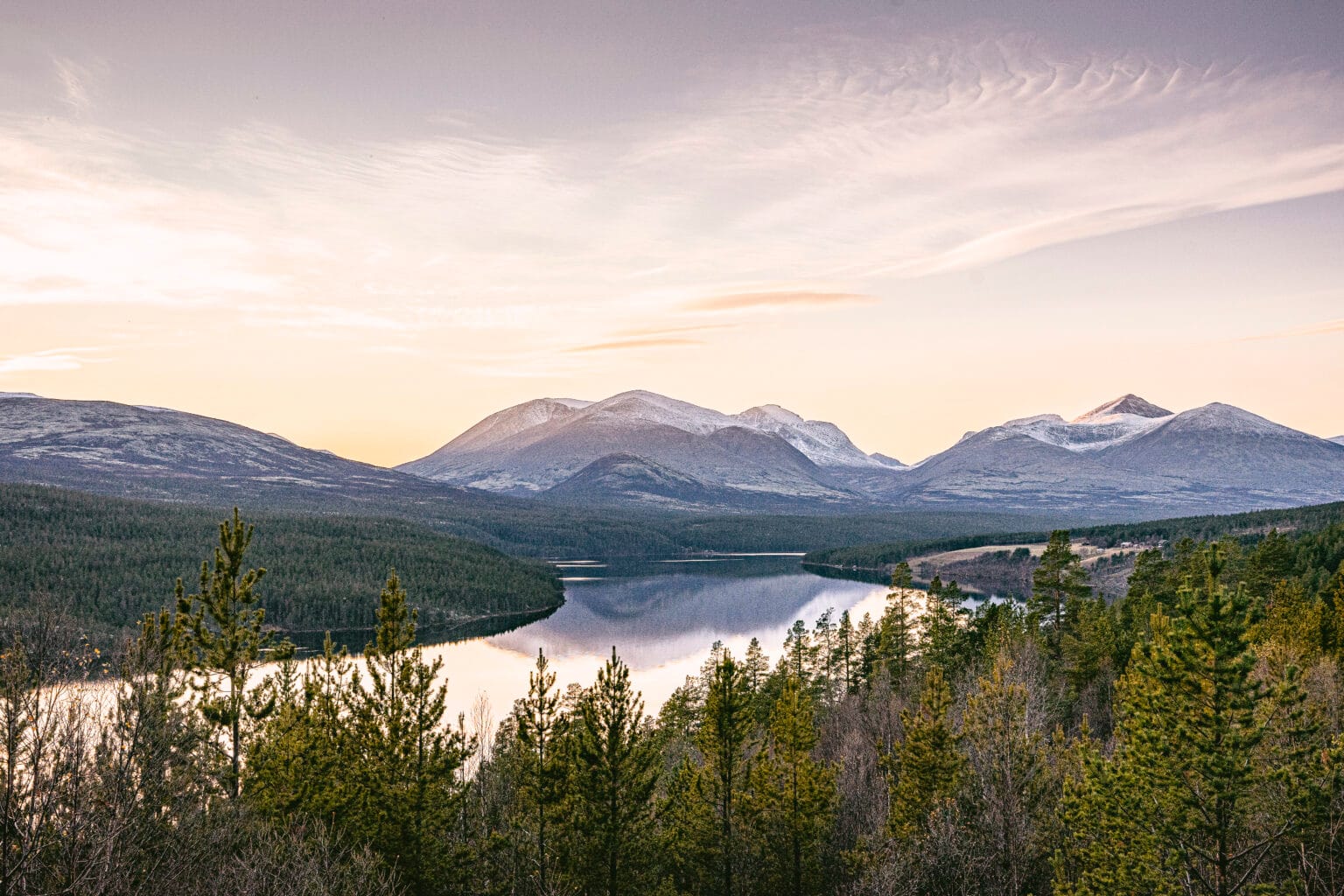 norwegenwebsite1_107