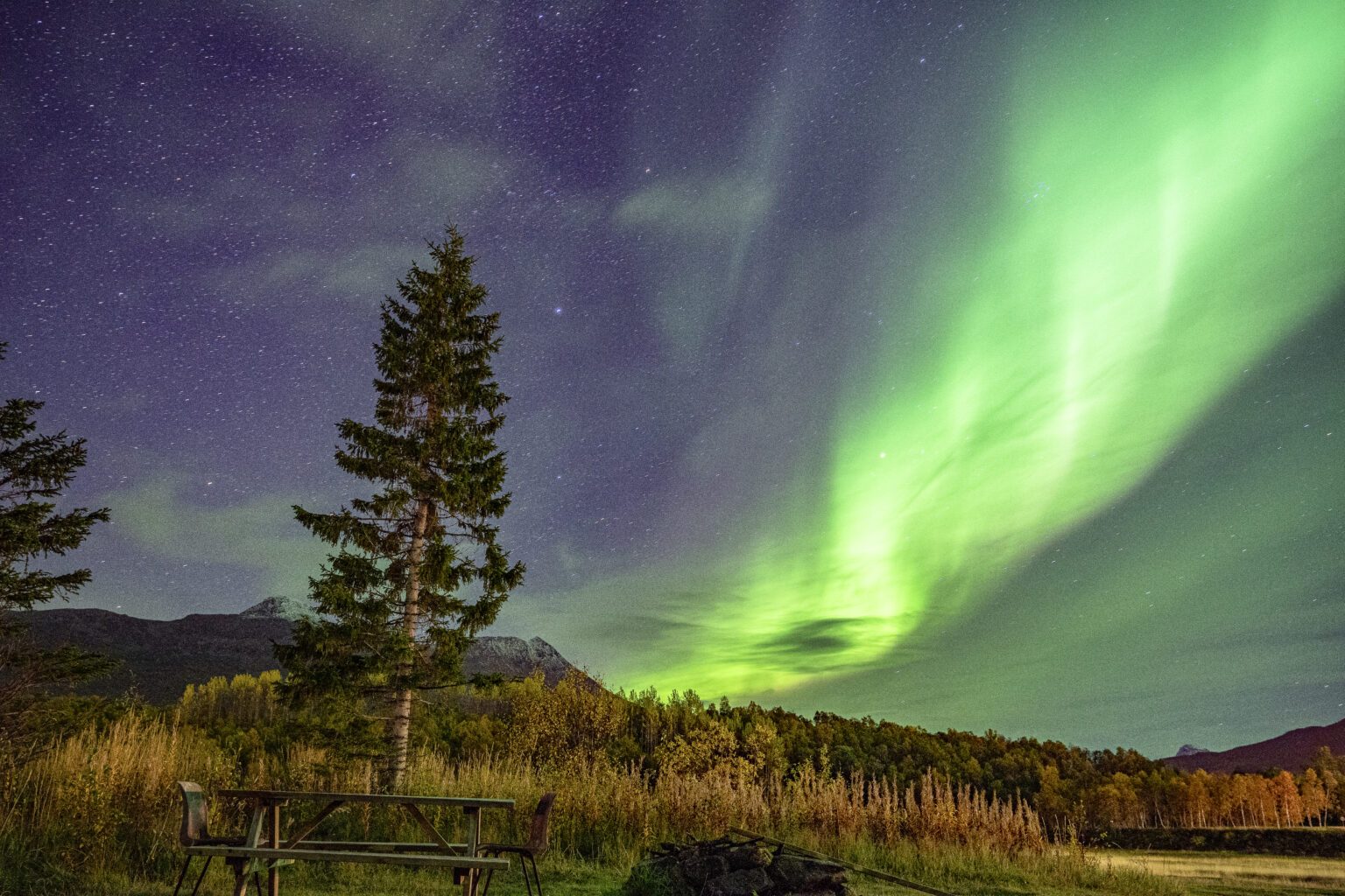 norwegenwebsite1_70